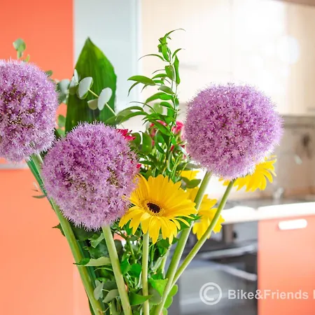 Appartamento Il Rifugio Dell'artista