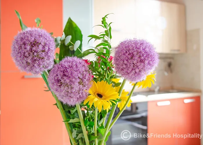 Appartamento Il Rifugio Dell'artista